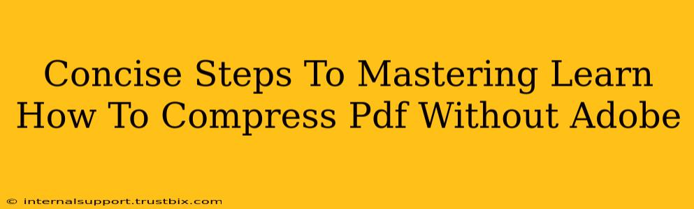 Concise Steps To Mastering Learn How To Compress Pdf Without Adobe