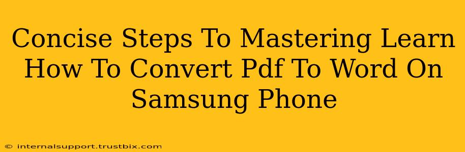 Concise Steps To Mastering Learn How To Convert Pdf To Word On Samsung Phone