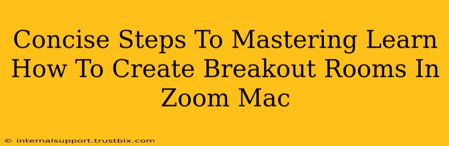 Concise Steps To Mastering Learn How To Create Breakout Rooms In Zoom Mac