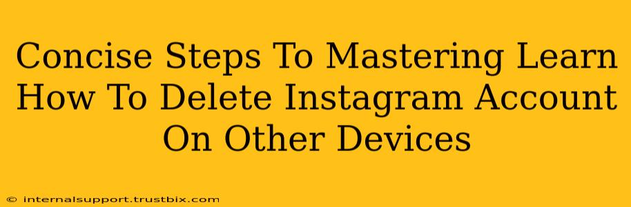 Concise Steps To Mastering Learn How To Delete Instagram Account On Other Devices