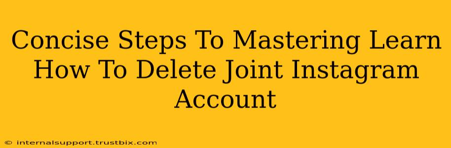 Concise Steps To Mastering Learn How To Delete Joint Instagram Account