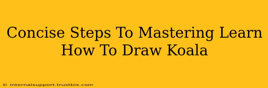 Concise Steps To Mastering Learn How To Draw Koala