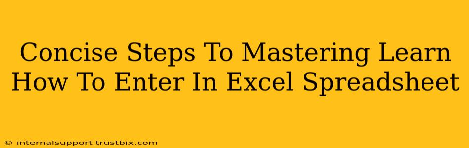 Concise Steps To Mastering Learn How To Enter In Excel Spreadsheet