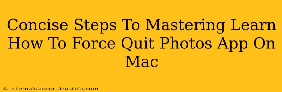 Concise Steps To Mastering Learn How To Force Quit Photos App On Mac