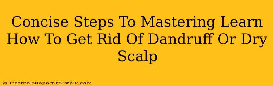 Concise Steps To Mastering Learn How To Get Rid Of Dandruff Or Dry Scalp