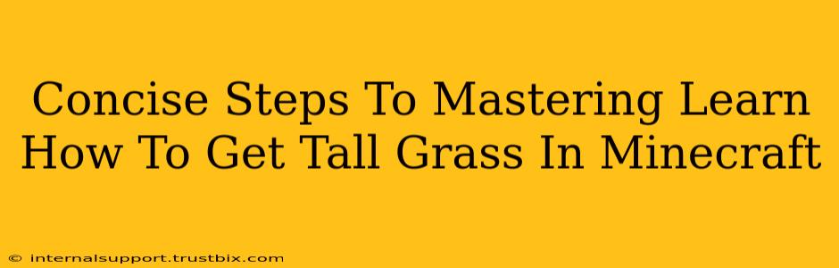 Concise Steps To Mastering Learn How To Get Tall Grass In Minecraft