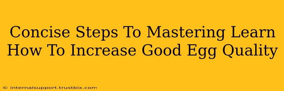 Concise Steps To Mastering Learn How To Increase Good Egg Quality