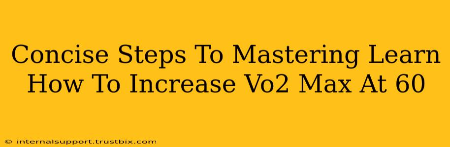 Concise Steps To Mastering Learn How To Increase Vo2 Max At 60