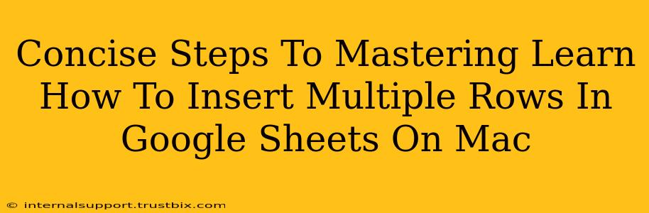 Concise Steps To Mastering Learn How To Insert Multiple Rows In Google Sheets On Mac