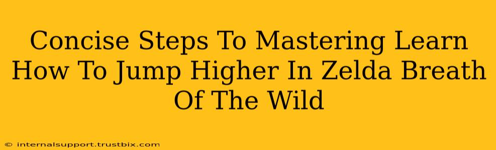 Concise Steps To Mastering Learn How To Jump Higher In Zelda Breath Of The Wild