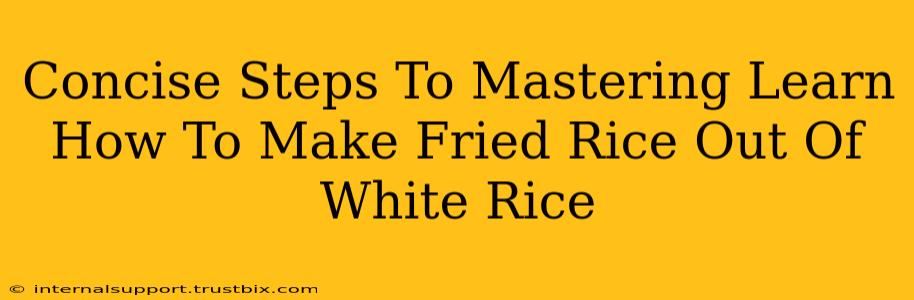 Concise Steps To Mastering Learn How To Make Fried Rice Out Of White Rice