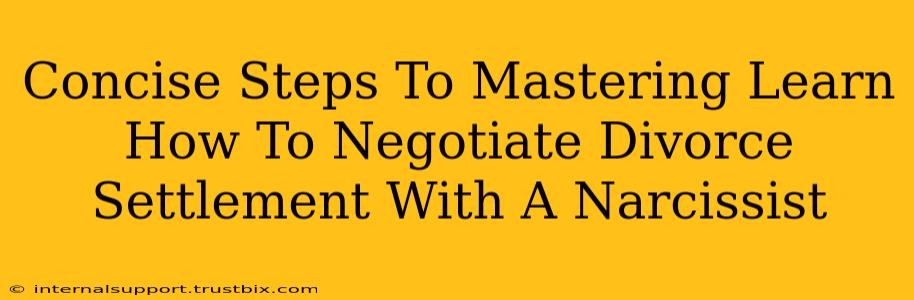 Concise Steps To Mastering Learn How To Negotiate Divorce Settlement With A Narcissist