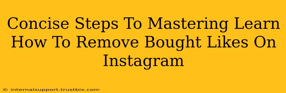 Concise Steps To Mastering Learn How To Remove Bought Likes On Instagram