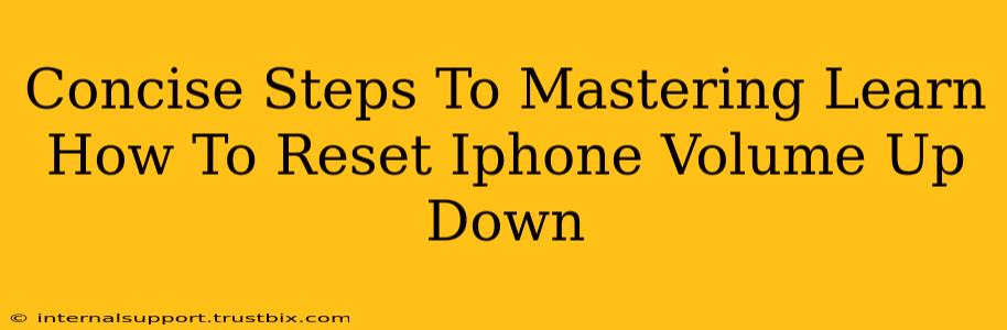 Concise Steps To Mastering Learn How To Reset Iphone Volume Up Down