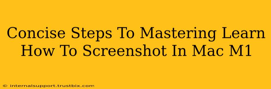 Concise Steps To Mastering Learn How To Screenshot In Mac M1