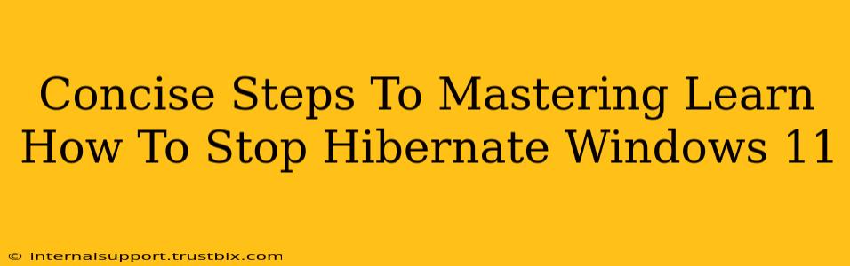 Concise Steps To Mastering Learn How To Stop Hibernate Windows 11