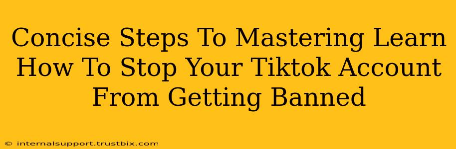 Concise Steps To Mastering Learn How To Stop Your Tiktok Account From Getting Banned