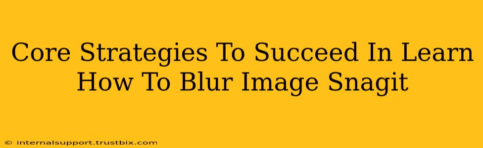 Core Strategies To Succeed In Learn How To Blur Image Snagit