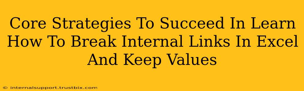 Core Strategies To Succeed In Learn How To Break Internal Links In Excel And Keep Values