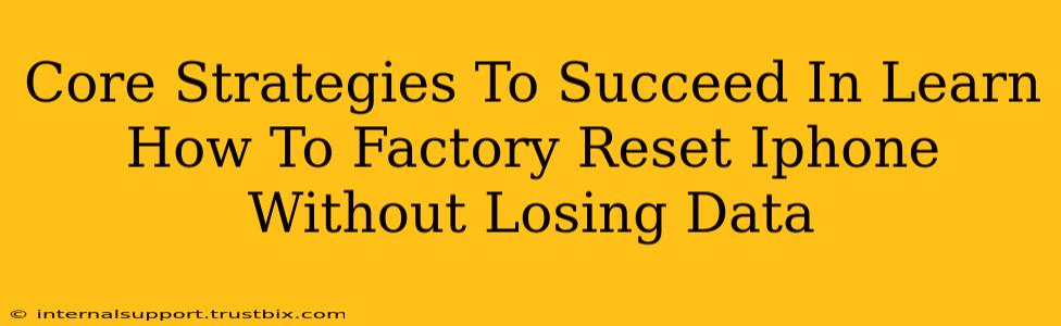 Core Strategies To Succeed In Learn How To Factory Reset Iphone Without Losing Data