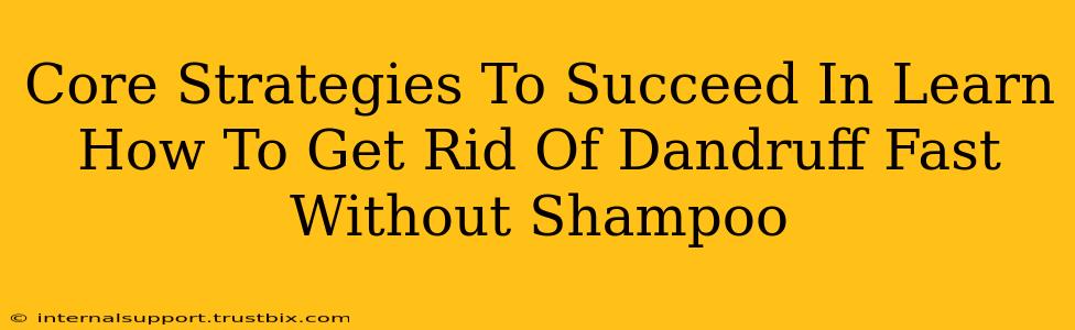 Core Strategies To Succeed In Learn How To Get Rid Of Dandruff Fast Without Shampoo