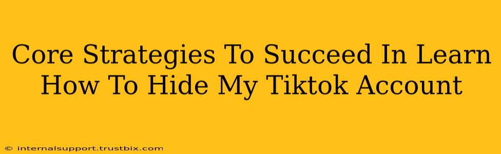 Core Strategies To Succeed In Learn How To Hide My Tiktok Account