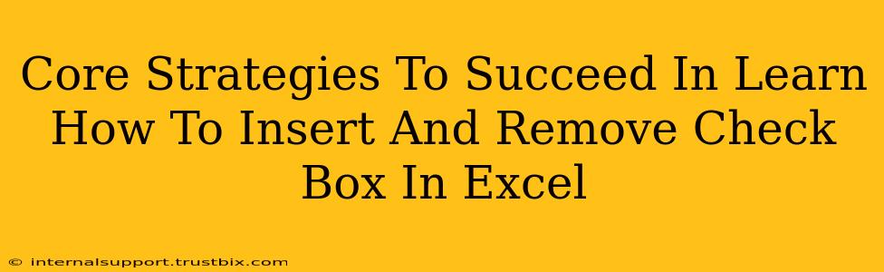 Core Strategies To Succeed In Learn How To Insert And Remove Check Box In Excel