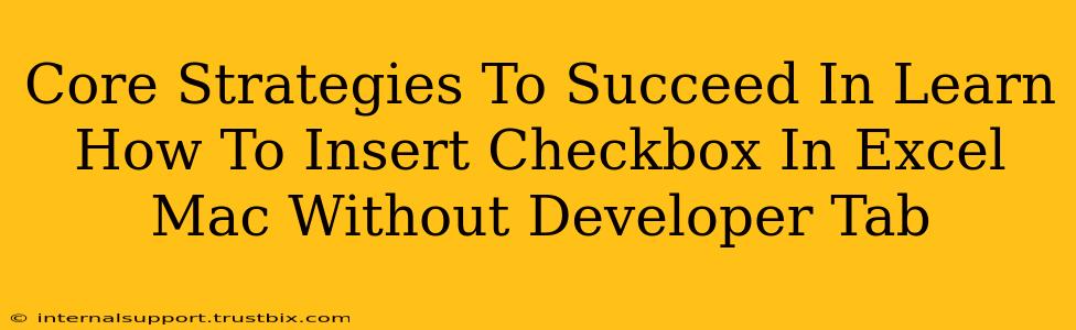 Core Strategies To Succeed In Learn How To Insert Checkbox In Excel Mac Without Developer Tab