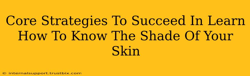 Core Strategies To Succeed In Learn How To Know The Shade Of Your Skin