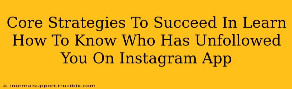 Core Strategies To Succeed In Learn How To Know Who Has Unfollowed You On Instagram App