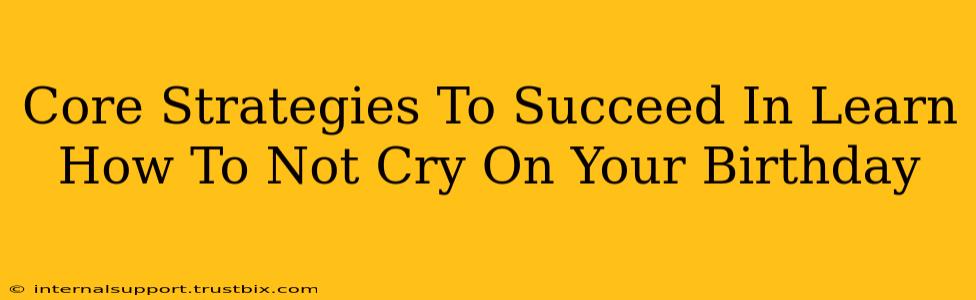 Core Strategies To Succeed In Learn How To Not Cry On Your Birthday