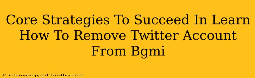 Core Strategies To Succeed In Learn How To Remove Twitter Account From Bgmi