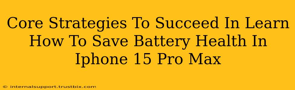 Core Strategies To Succeed In Learn How To Save Battery Health In Iphone 15 Pro Max