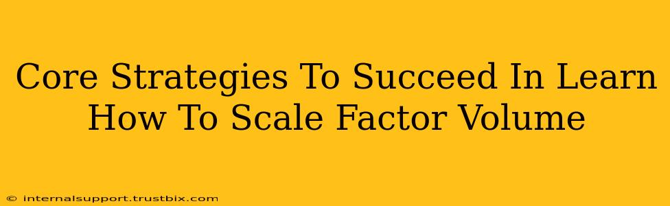 Core Strategies To Succeed In Learn How To Scale Factor Volume