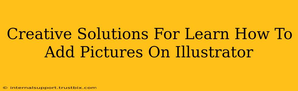 Creative Solutions For Learn How To Add Pictures On Illustrator