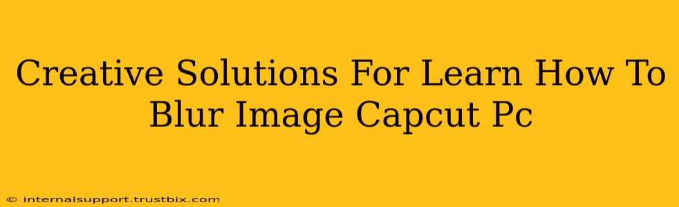 Creative Solutions For Learn How To Blur Image Capcut Pc