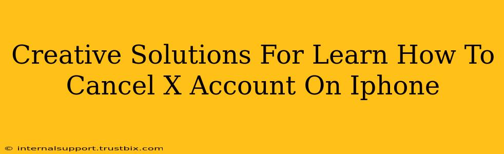 Creative Solutions For Learn How To Cancel X Account On Iphone