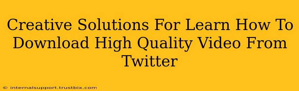 Creative Solutions For Learn How To Download High Quality Video From Twitter