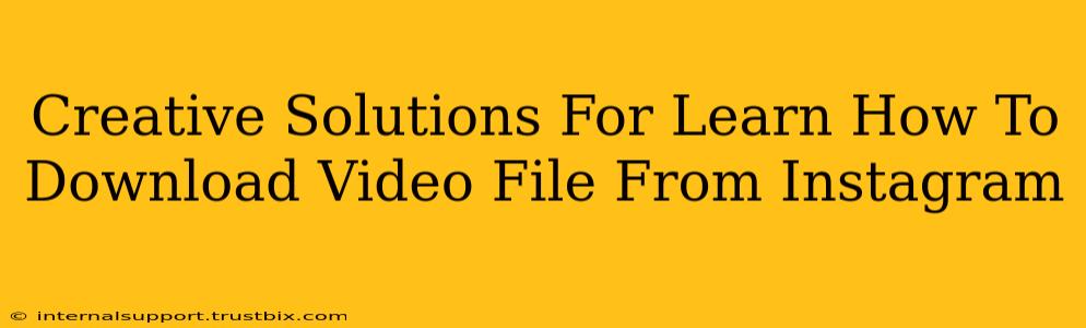 Creative Solutions For Learn How To Download Video File From Instagram