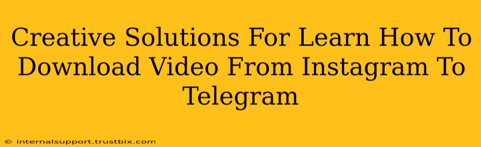 Creative Solutions For Learn How To Download Video From Instagram To Telegram