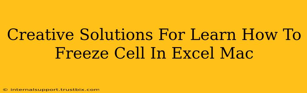 Creative Solutions For Learn How To Freeze Cell In Excel Mac