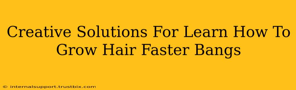 Creative Solutions For Learn How To Grow Hair Faster Bangs