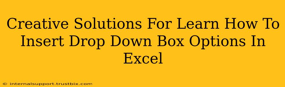 Creative Solutions For Learn How To Insert Drop Down Box Options In Excel