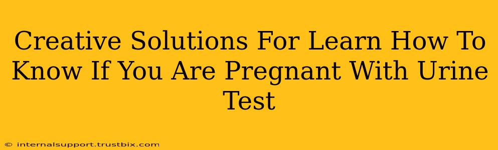 Creative Solutions For Learn How To Know If You Are Pregnant With Urine Test