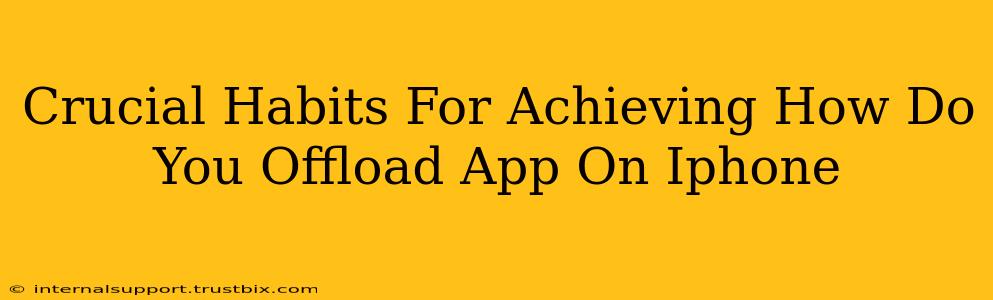 Crucial Habits For Achieving How Do You Offload App On Iphone