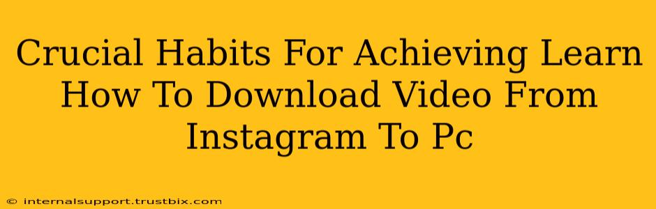 Crucial Habits For Achieving Learn How To Download Video From Instagram To Pc