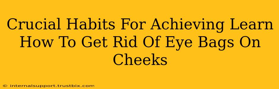 Crucial Habits For Achieving Learn How To Get Rid Of Eye Bags On Cheeks