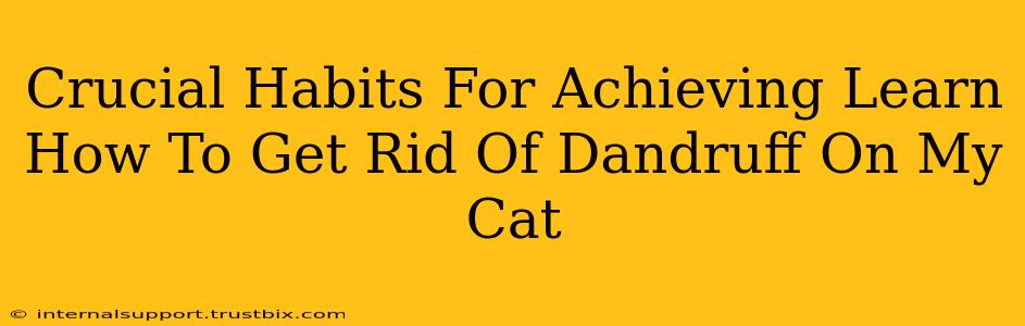 Crucial Habits For Achieving Learn How To Get Rid Of Dandruff On My Cat