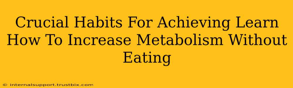 Crucial Habits For Achieving Learn How To Increase Metabolism Without Eating