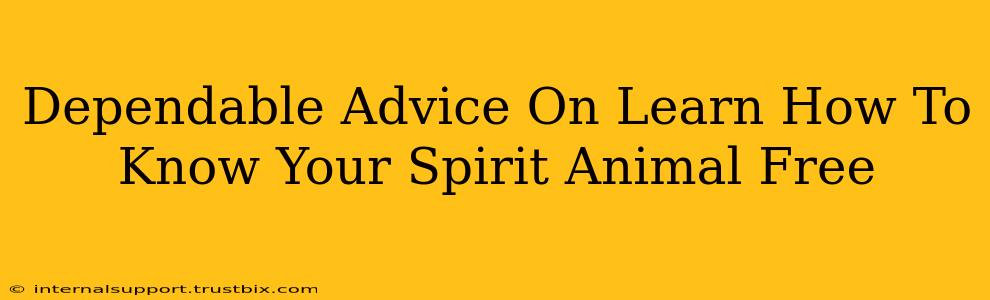 Dependable Advice On Learn How To Know Your Spirit Animal Free